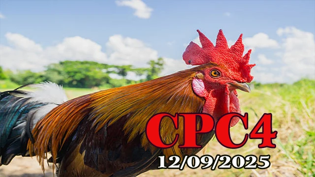 Full trận đá gà C4 Campuchia mới nhất hôm nay 12/09/2025